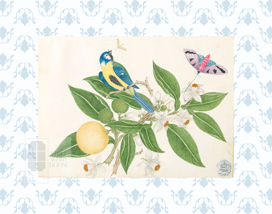 Bright Botanical Study, 11x14 Giclee Print : STUDY 3