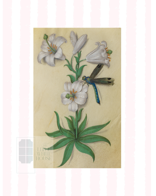 Pink & White Botanical Study, Giclee Print : STUDY 10