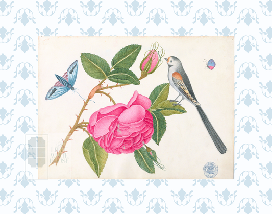 Bright Botanical Study, 11x14 Giclee Print : STUDY 5