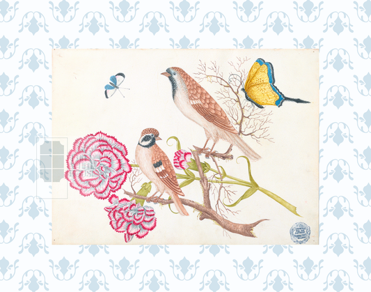 Bright Botanical Study, 11x14 Giclee Print : STUDY 4