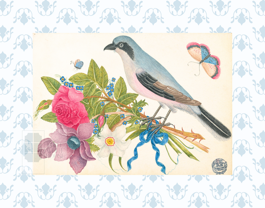 Bright Botanical Study, 11x14 Giclee Print : STUDY 1