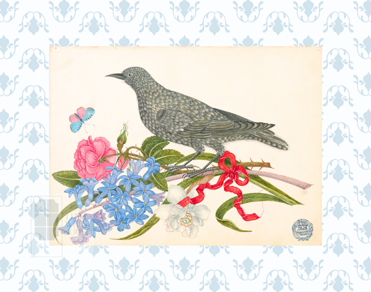 Bright Botanical Study, 11x14 Giclee Print : STUDY 12