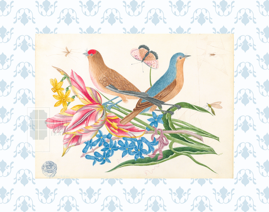 Bright Botanical Study, 11x14 Giclee Print : STUDY 9