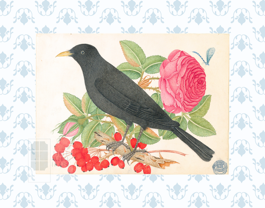 Bright Botanical Study, 11x14 Giclee Print : STUDY 6