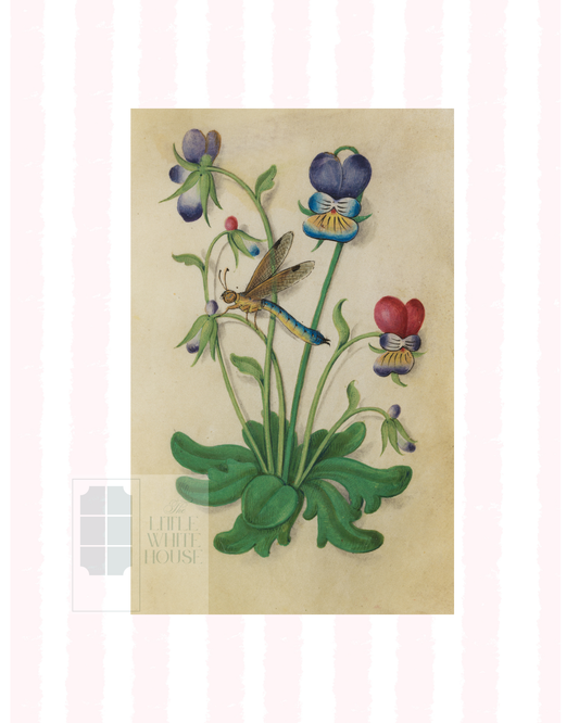 Pink & White Botanical Study, Giclee Print : STUDY 5