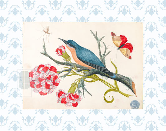 Bright Botanical Study, 11x14 Giclee Print : STUDY 7