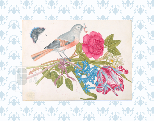 Bright Botanical Study, 11x14 Giclee Print : STUDY 10