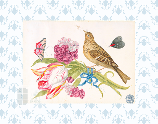 Bright Botanical Study, 11x14 Giclee Print : STUDY 11