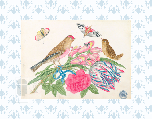 Bright Botanical Study, 11x14 Giclee Print : STUDY 2