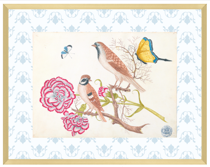 Bright Botanical Study, 11x14 Giclee Print : STUDY 4