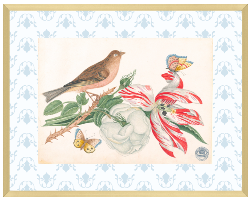 Bright Botanical Study, 11x14 Giclee Print : STUDY 8