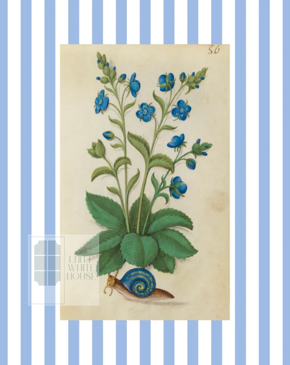 Blue & White Botanical Study, Giclee Print : STUDY 2