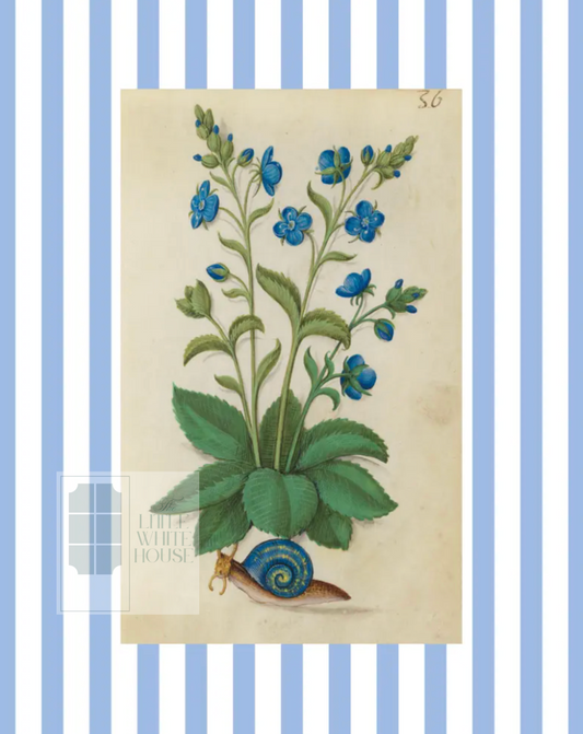 Blue & White Botanical Study, Giclee Print : STUDY 2