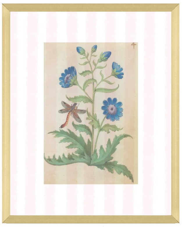 Pink & White Botanical Study, Giclee Print : STUDY 4