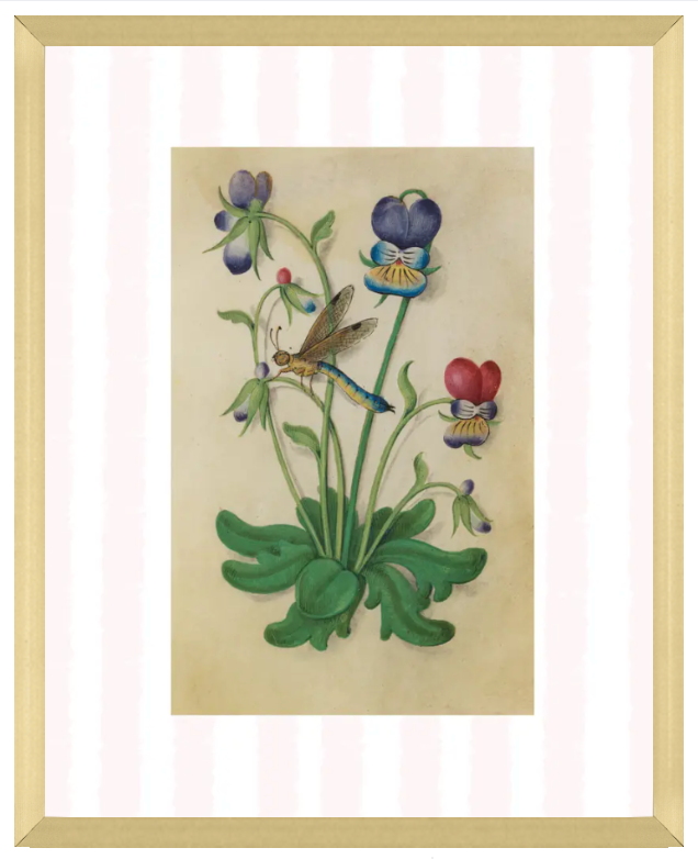 Pink & White Botanical Study, Giclee Print : STUDY 5