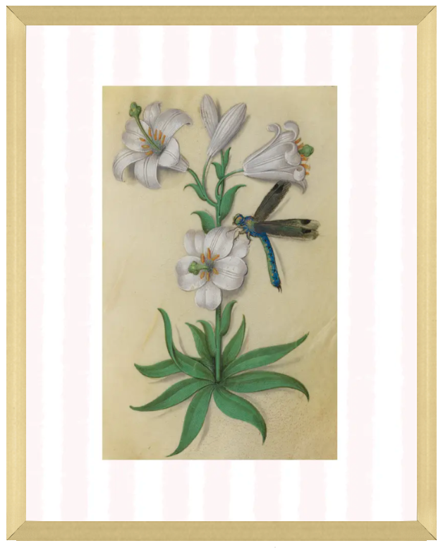 Pink & White Botanical Study, Giclee Print : STUDY 10