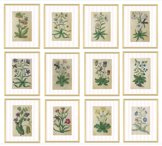 Buy a Full Set of 12 Prints for a Discount