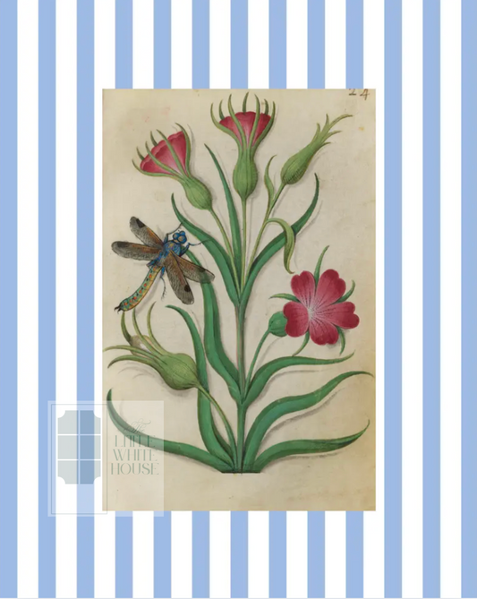 Blue & White Botanical Study, Giclee Print : STUDY 1