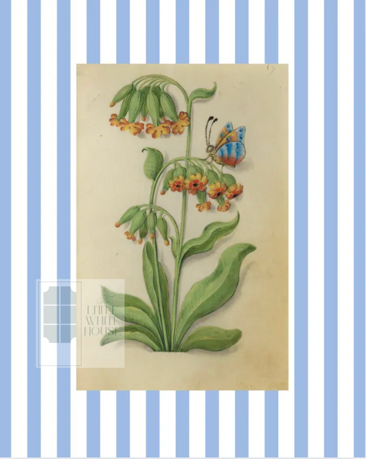 Blue & White Botanical Study, Giclee Print : STUDY 6