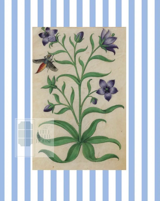 Blue & White Botanical Study, Giclee Print : STUDY 7