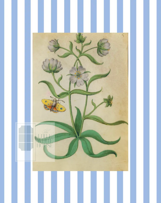 Blue & White Botanical Study, Giclee Print : STUDY 8