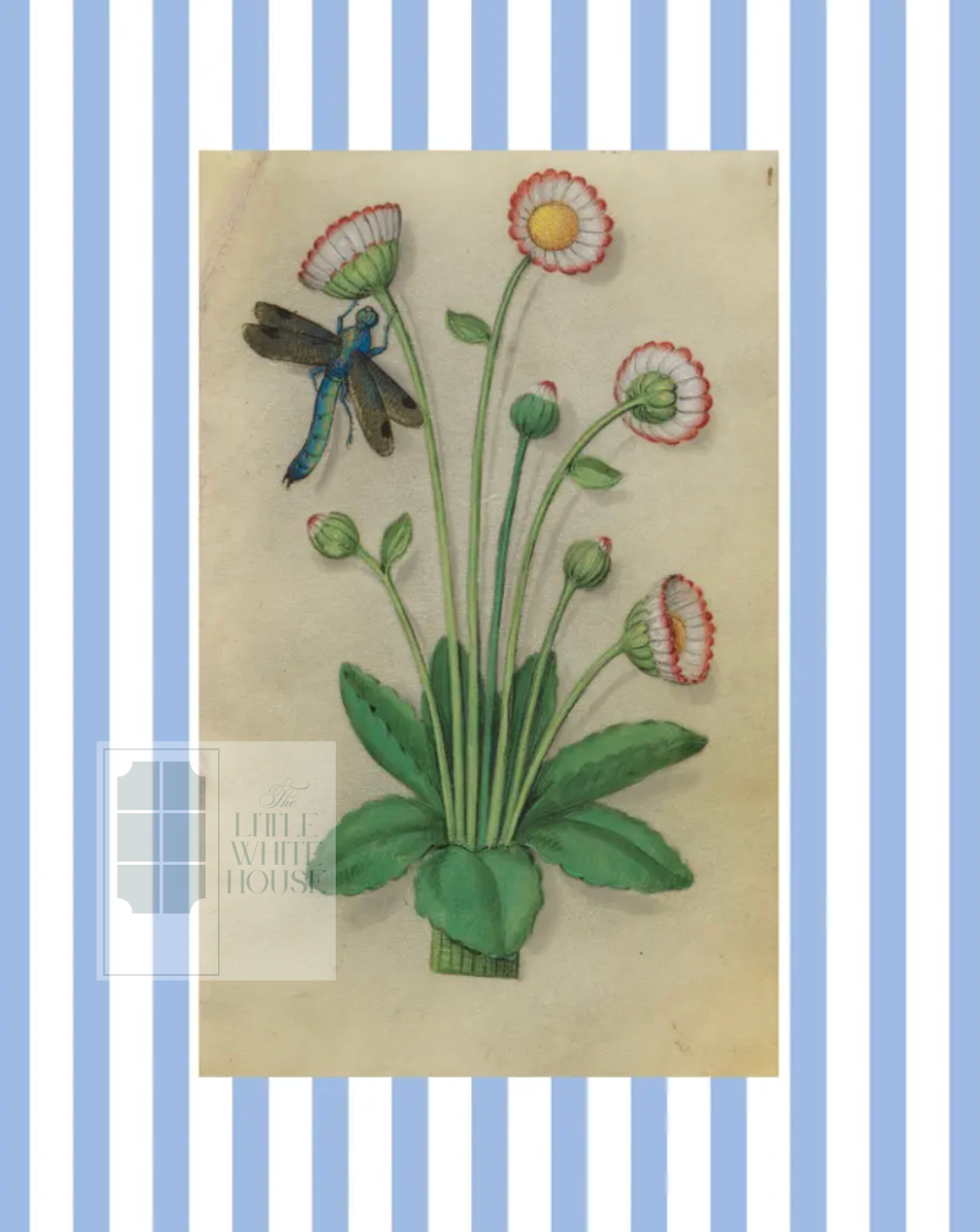 Blue & White Botanical Study, Giclee Print : STUDY 11