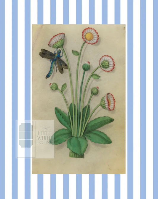 Blue & White Botanical Study, Giclee Print : STUDY 11