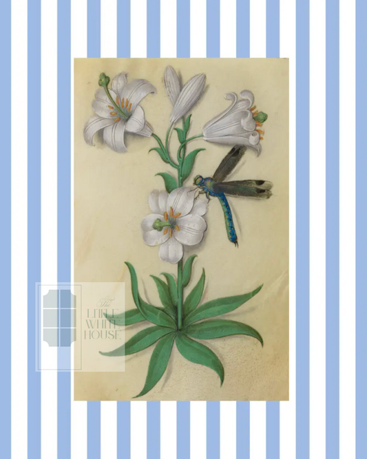 Blue & White Botanical Study, Giclee Print : STUDY 10
