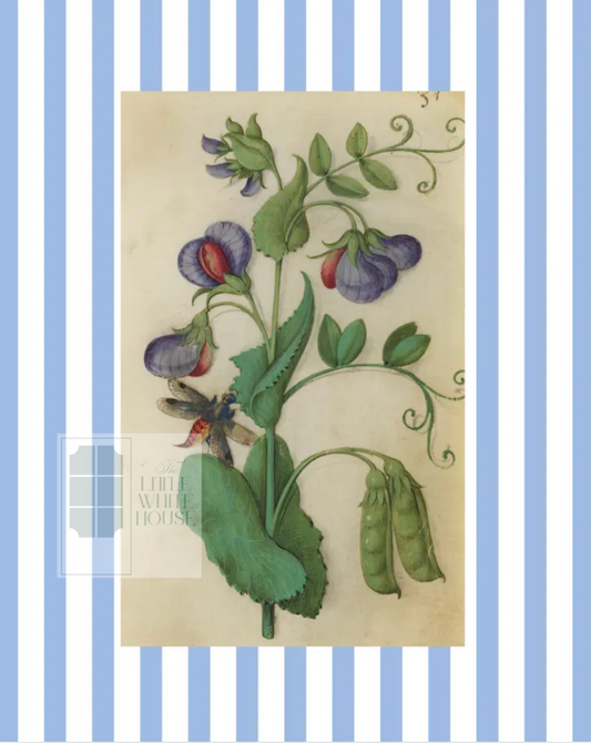 Blue & White Botanical Study, Giclee Print : STUDY 12