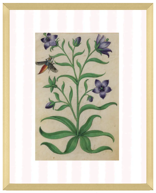 Pink & White Stripe Botanical Prints