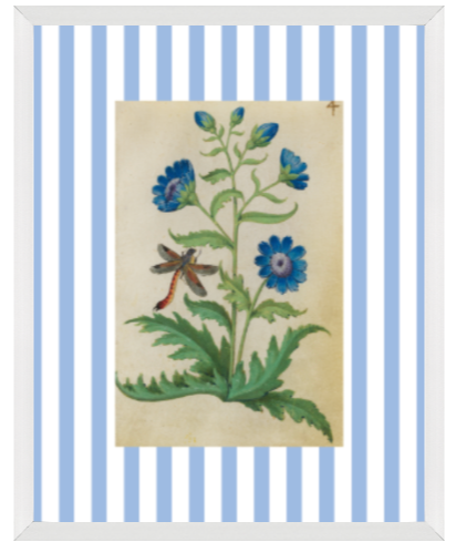 Blue & White Botanical Prints