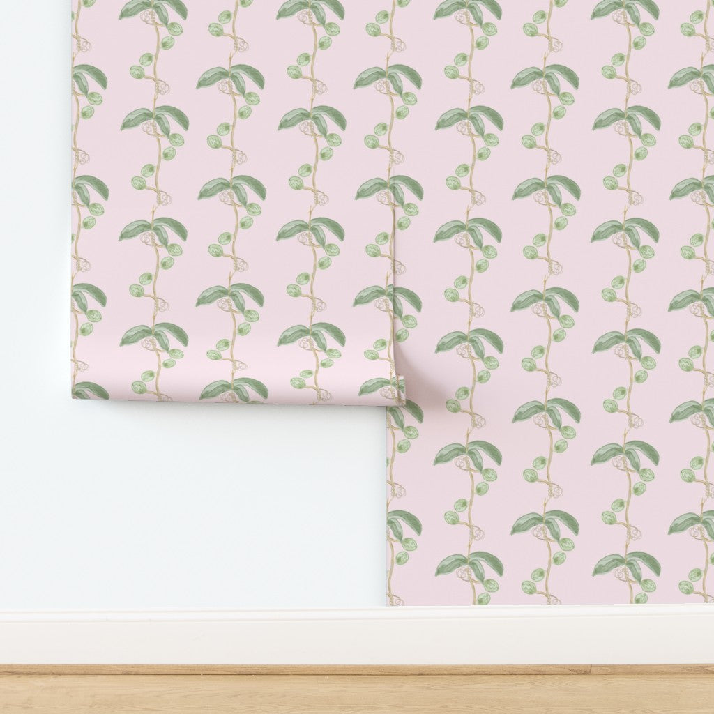 Plant the seed - green on pink wallpaper