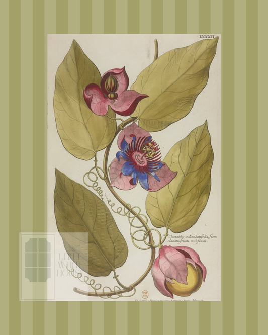 Green on Green Stripe Botanical Giclee - 8x10 - Print 6