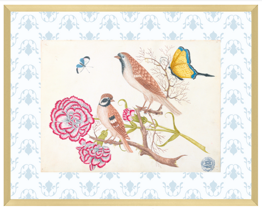 Bright Botanical Study, 11x14 Giclee Print : STUDY 4