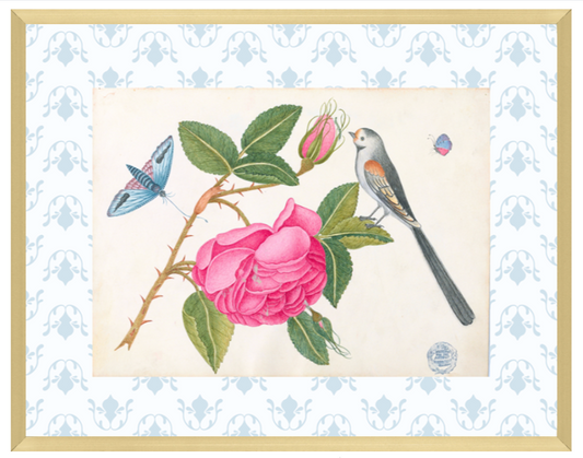 Bright Botanical Study, 11x14 Giclee Print : STUDY 5