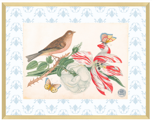 Bright Botanical Study, 11x14 Giclee Print : STUDY 8