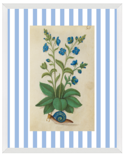 Blue & White Botanical Study, Giclee Print : STUDY 2