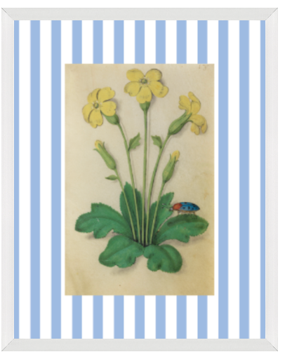 Blue & White Botanical Study, Giclee Print : STUDY 3