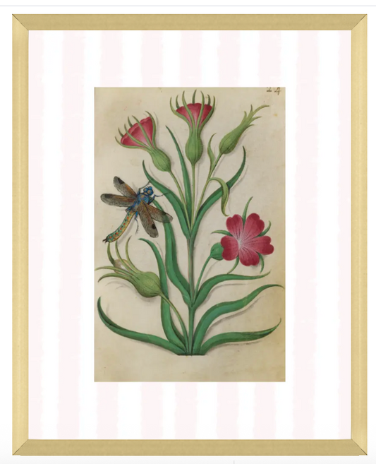 Pink & White Botanical Study, Giclee Print : STUDY 1