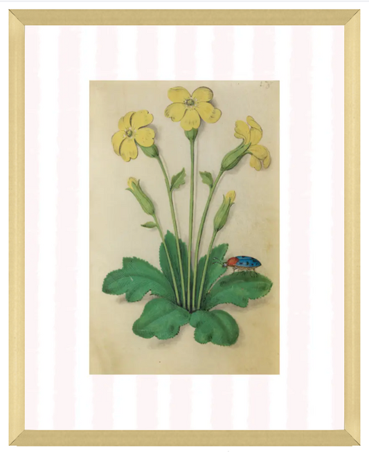 Pink & White Botanical Study, Giclee Print : STUDY 3