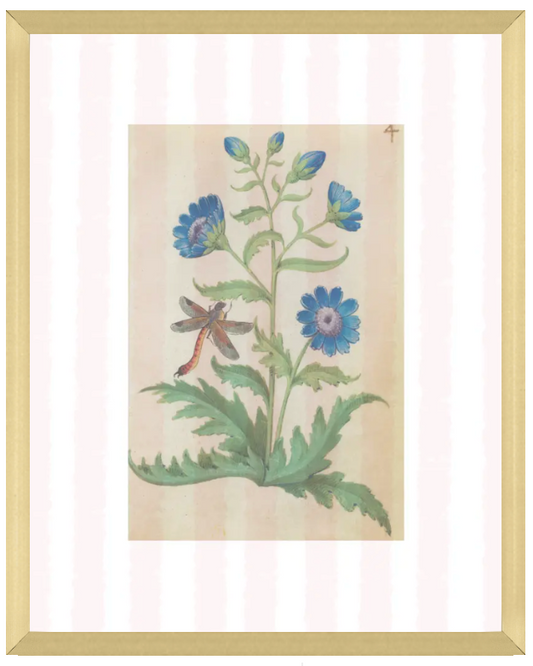 Pink & White Botanical Study, Giclee Print : STUDY 4