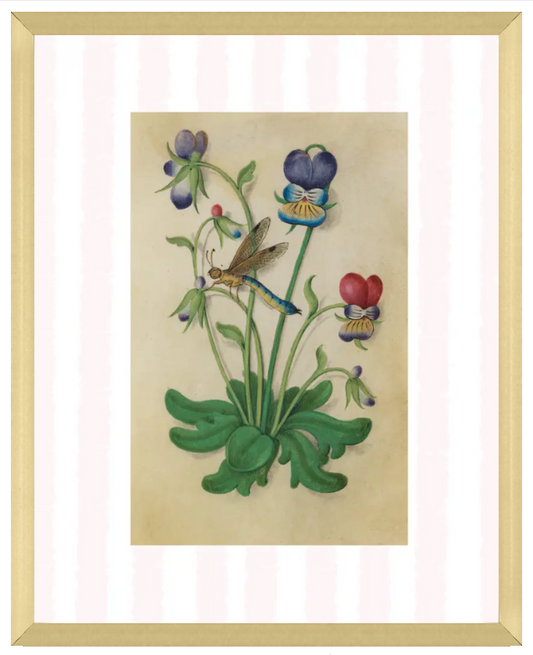 Pink & White Botanical Study, Giclee Print : STUDY 5