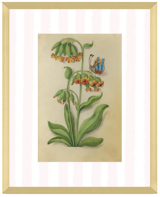 Pink & White Botanical Study, Giclee Print : STUDY 6