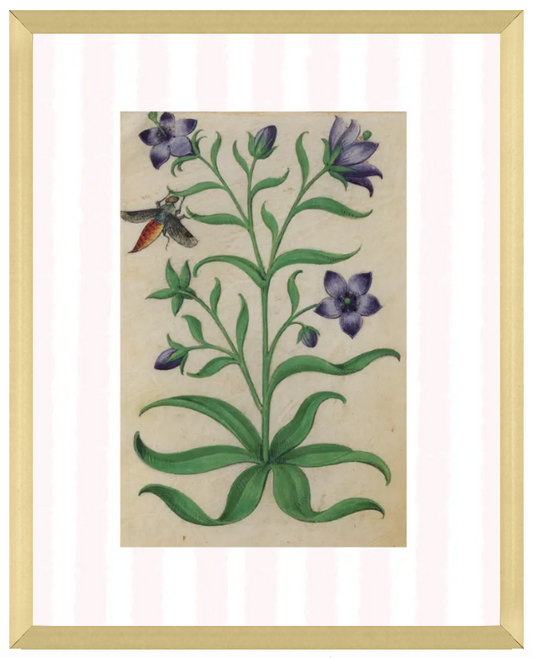 Pink & White Botanical Study, Giclee Print : STUDY 7