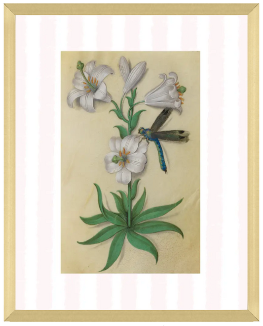 Pink & White Botanical Study, Giclee Print : STUDY 10