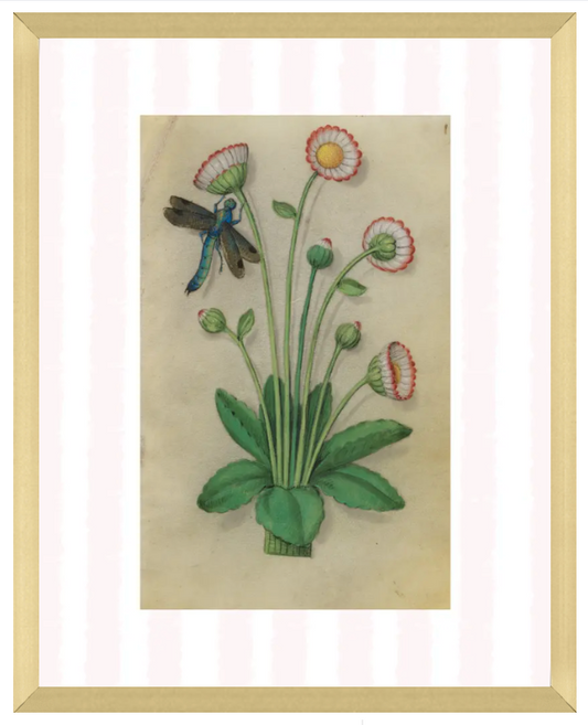 Pink & White Botanical Study, Giclee Print : STUDY 11