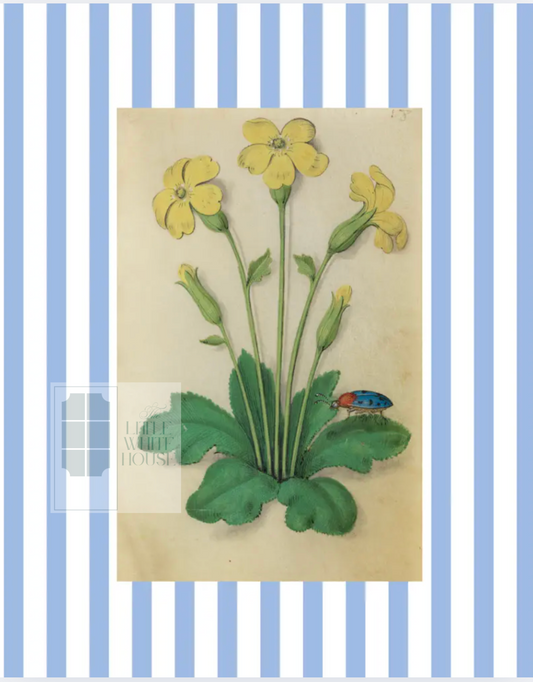 Blue & White Botanical Study, Giclee Print : STUDY 3