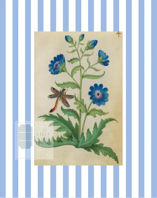 Blue & White Botanical Study, Giclee Print : STUDY 4