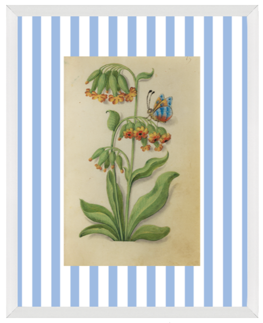Blue & White Botanical Study, Giclee Print : STUDY 6