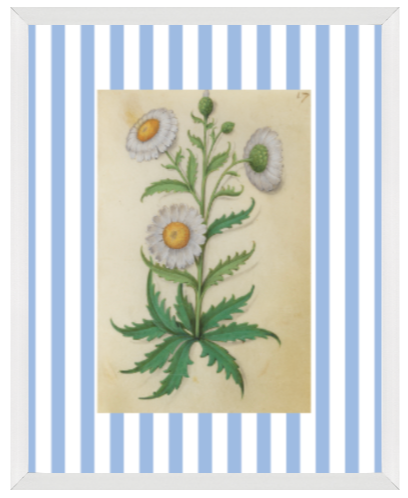 Blue & White Botanical Study, Giclee Print : STUDY 9